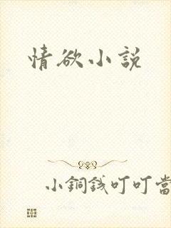情欲小说封面