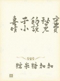 妻子的秘密韩雅晴小说免费阅读