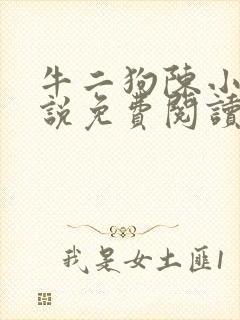 牛二狗陈小燕小说免费阅读全文无弹窗
