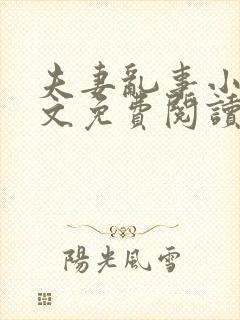 夫妻乱事小说全文免费阅读最新章节