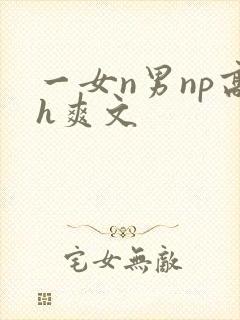 一女n男np高h爽文封面