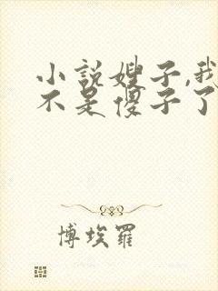 小说嫂子,我真不是傻子了免费阅读封面