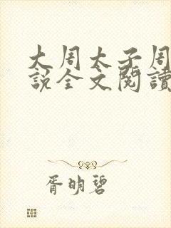 大周太子周铮小说全文阅读无弹窗封面