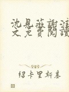 沈见薇谢淮宴全文免费阅读