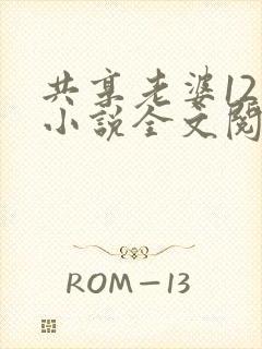 共享老婆12部小说全文阅读封面