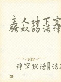 主人地下室惩罚骚奴的法律后果