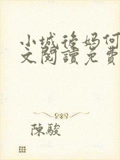 小城后妈何姨全文阅读免费阅读