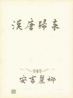 汉唐归来