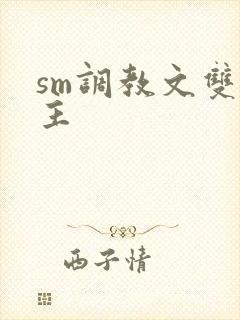 sm调教文双男主封面