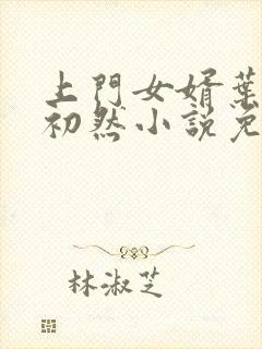 上门女婿叶辰萧初然小说免费读封面