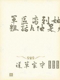 军区脔到她哭h粗话h他是疯批