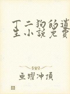 丁二狗的逍遥人生小说免费阅读