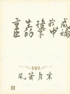 重生后我成了权臣的掌中娇全集