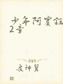少年阿宾钰慧12章