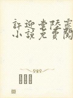 许迎棠陆霁野的小说免费阅读最新章节封面