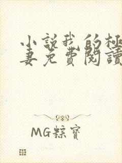 小说我的极品娇妻免费阅读封面
