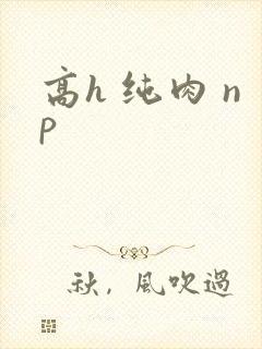 高h 纯肉 np