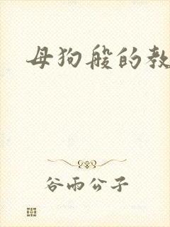 母狗般的教师封面