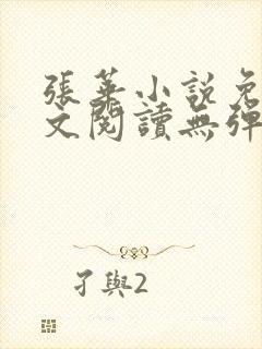 张华小说免费全文阅读无弹窗