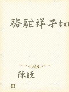 骆驼祥子txt
