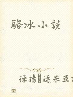 骆冰小说封面