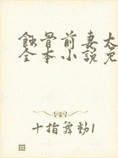 蚀骨前妻太难追全本小说免费阅读