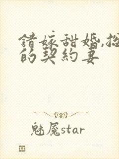 错嫁甜婚,总裁的契约妻