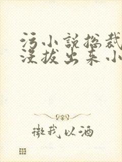 污小说总裁整夜没拔出来小说在线阅读