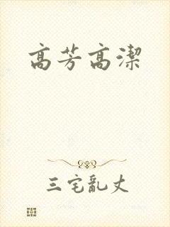 高芳高洁封面