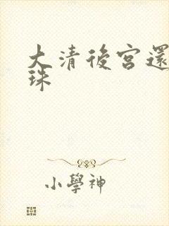 大清后宫还君明珠封面