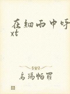 在细雨中呼喊txt