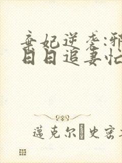 弃妃逆袭:邪王日日追妻忙完整小说