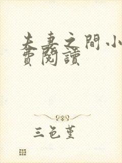 夫妻之间小说免费阅读