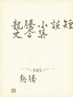 龙腾小说短篇辣文合集