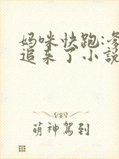 妈咪快跑:爹地追来了小说