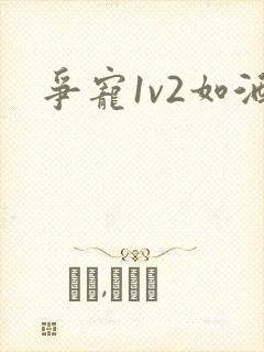 争宠1v2如酒