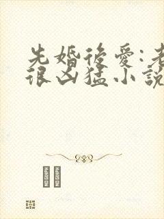 先婚后爱:老公很凶猛小说