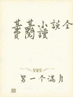某某小说全文免费阅读