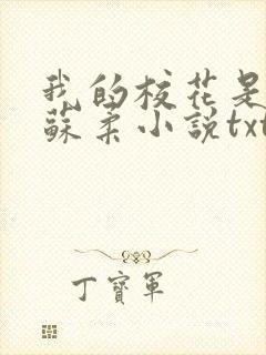 我的校花是福姬苏柔小说txt