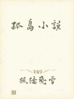 孤岛小说