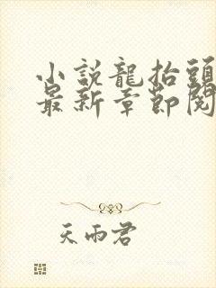 小说龙抬头张龙最新章节阅续