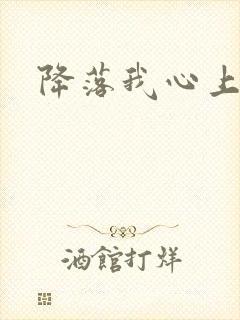 降落我心上