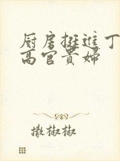 厨房挺进丁字裤高官贵妇