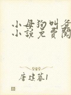 小母狗叫爸爸乖小说免费阅读
