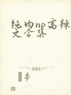 纯肉np高辣h文合集封面