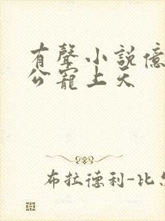 有声小说亿万老公宠上天
