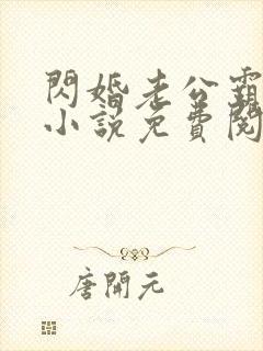 闪婚老公霸道宠小说免费阅读