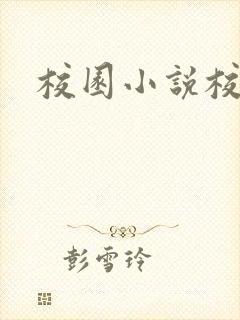 校园小说校霸