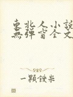东北人小说免费无弹窗全文阅读封面
