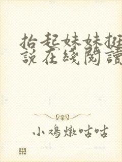 抬起妹妹挺入小说在线阅读封面